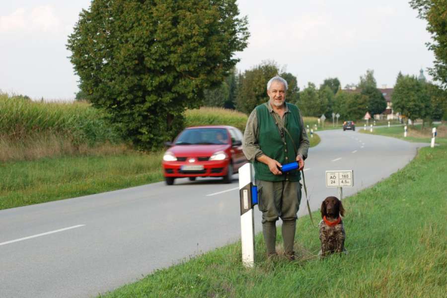 Nach einem Wildunfall sollte man auf jeden Fall den örtlichen Jäger benachrichtigen, besonders, wenn das verletzte Tier geflüchtet ist. (Foto: Dietmar Fund)