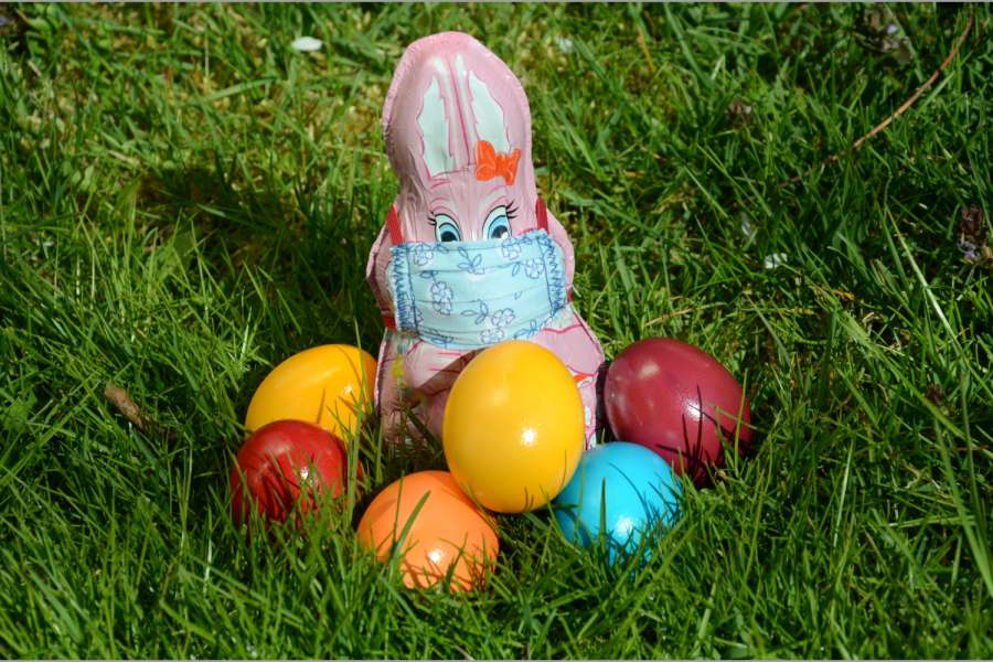 Im Corona-Jahr tragen sogar rücksichtsvolle Osterhasen eine Mund-Nasen-Maske, um niemanden anzustecken. Glücklicherweise schaden ihre Kalorien nur der schlanken Linie… (Foto: Dietmar Fund) 
