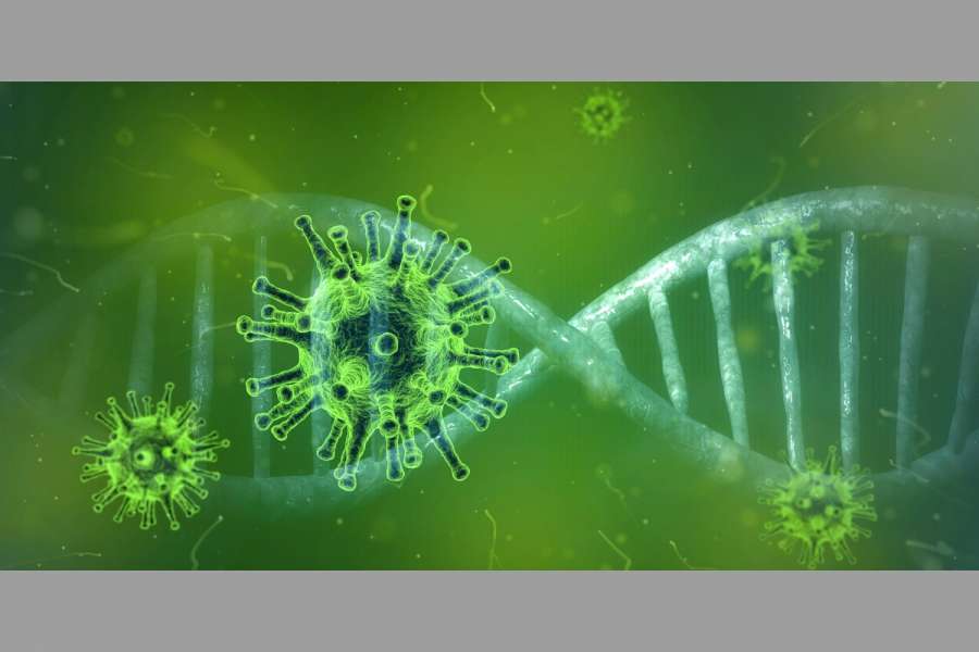 Die Ausbreitung des Corona-Virus sorgt für Veranstaltungsabsagen am laufenden Band. (Foto: pixabay)