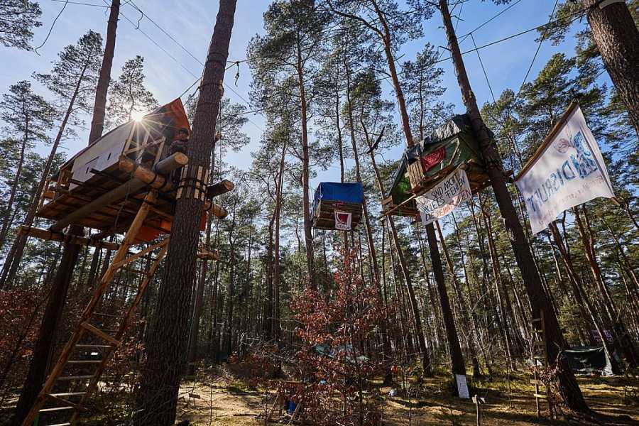 Blick ins Protest-Camp der Initiative "Tesla stoppen" in einem Kiefernwald nahe der Tesla- Gigafactory Berlin-Brandenburg. Ziel der Aktivisten ist es, eine Rodung des Waldstücks im Zuge einer geplanten Erweiterung des Tesla-Geländes mit Güterbahnhof zu verhindern. (Foto: Jörg Carstensen/dpa)