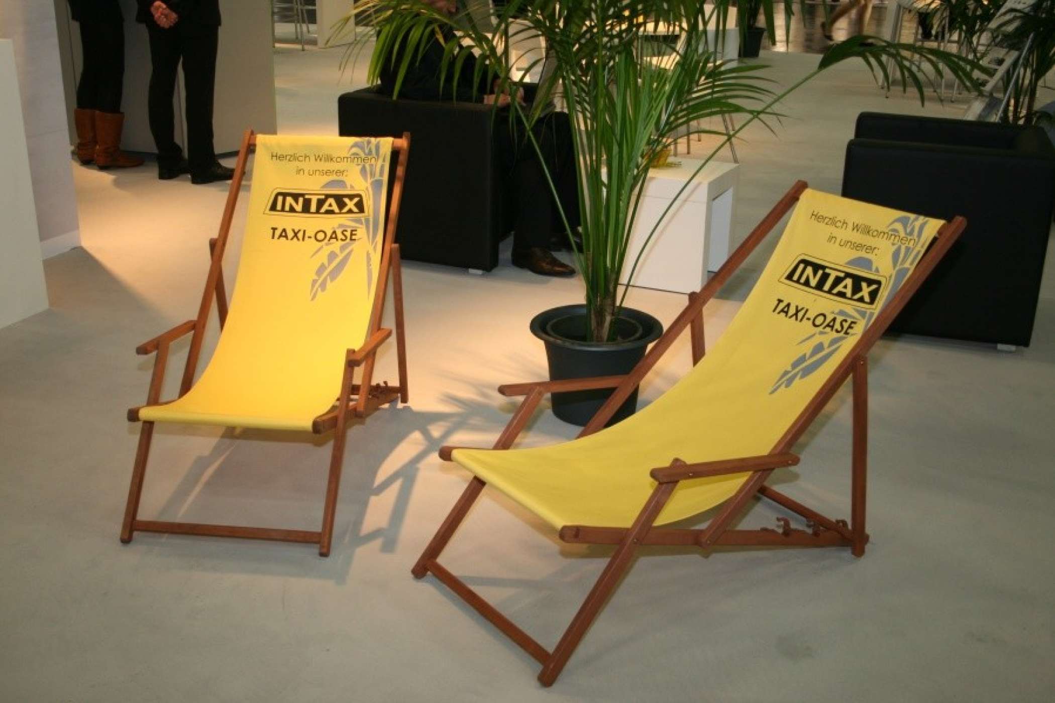 Eine Oase der Entspannung: Am Stand von Intax hatten Besucher die Möglichkeit sich auszuruhen, stilecht mit Palmen und Liegestuhl. Fast so schön wie Urlaub.| taxi heute