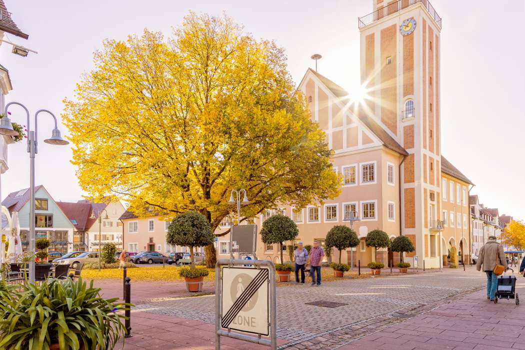 Im Landkreis Freudenstadt (hier das Rathaus der Kreisstadt) arbeitet die Landkreisverwaltung mit örtlichen Taxibetrieben zusammen. (Foto: Stadt Freudenstadt / Heike Butschkus)