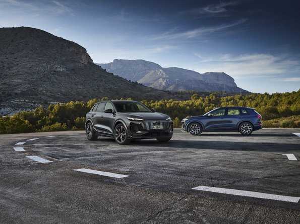 Befreiungsschlag auf PPE: Audi hat jetzt Q6 und SQ6 e-tron präsentiert. | Foto: Audi