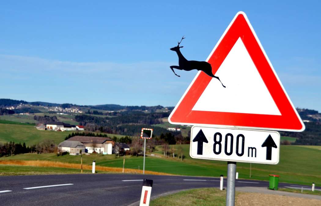 Mit der Zeitumstellung fällt der Berufsverkehr am Morgen wieder in die Dämmerung – besondere Vorsicht ist vor allem in Waldgebieten und auf Straßenabschnitten mit Wildwechselschildern geboten. (Foto: pixabay)