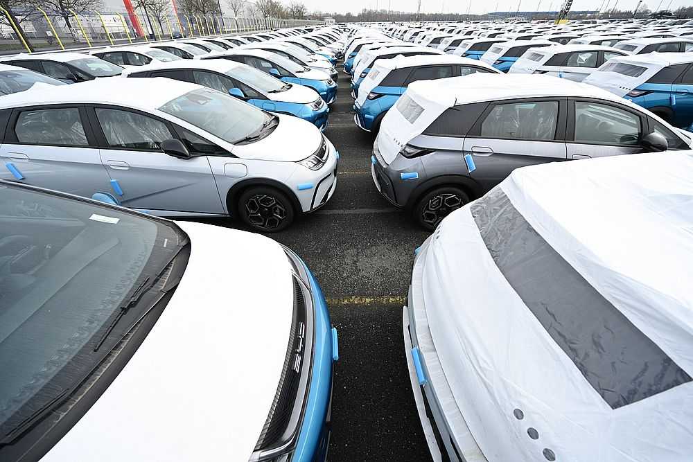 Zahlreiche Neuwagen des Modells Dolphin vom Autohersteller BYD stehen im BLG Auto Terminal Bremerhaven. (Foto: Lars Penning/dpa)