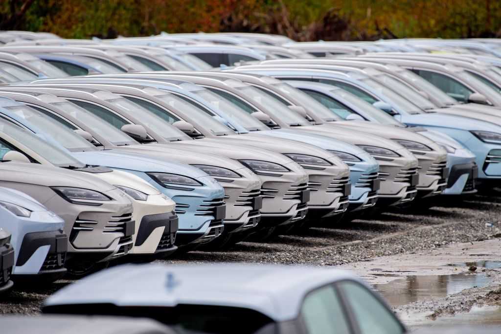Fassen langsam Tritt in Flotten: Das Interesse in Firmenfuhrparks an China-Marken wie BYD steigt, der Marktanteil noch nicht mal so stark. | Foto: dpa/Hauke-Christian Dittrich